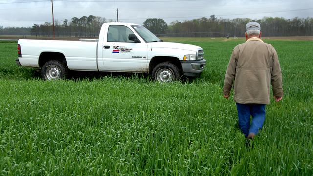 Extension Agent working in a field