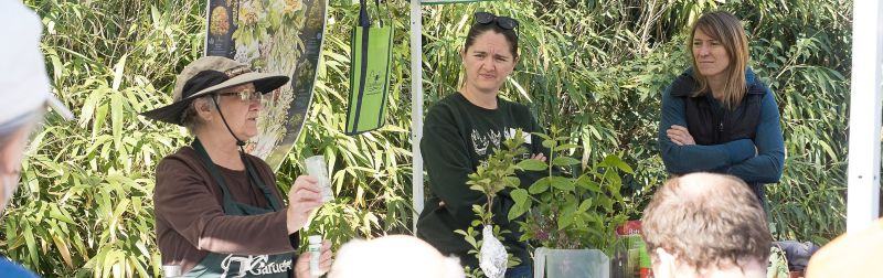 An older woman in a green Master Gardener apron speaks to a group under a tent surrounded by lush plantings.