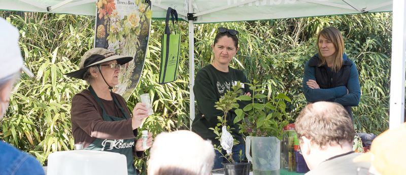 An older woman in a green Master Gardener apron demonstrates air grafting under a tent surrounded by lush vegetation.