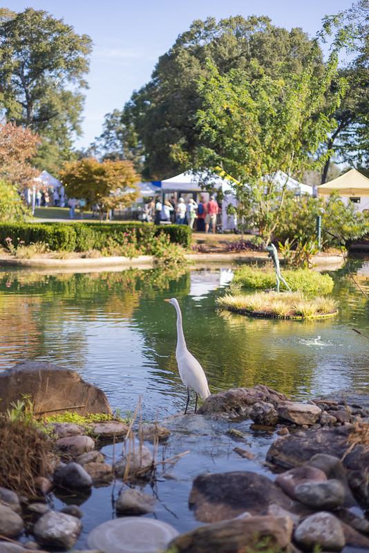 Enjoy the stunning grounds of the the Arboretum while you browse local art.  Provided by New Hanover County