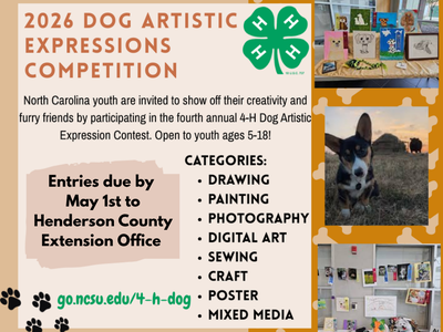 Dog Artistic Competition