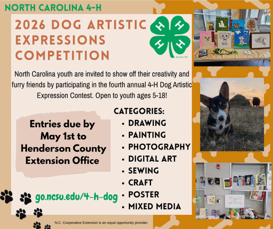 Dog Artistic Expressions flyer
