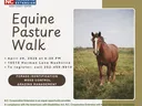 horse in pasture