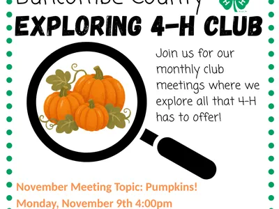 November 4-H club meeting