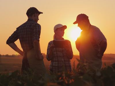 Extension Experts discuss technology and agricultural production with farmers in a field during sunset.