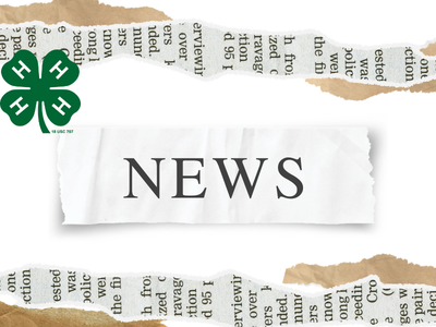 Extension News Story Headline