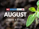 Seedling growing with text saying "August classes and events"