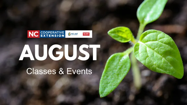 Seedling growing with text saying "August classes and events"