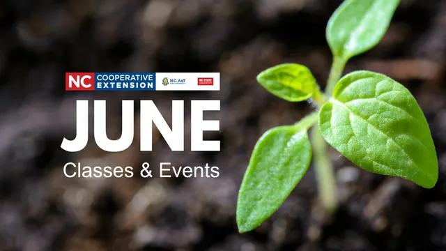 Seedling in soil with text stating "June Classes and Events"
