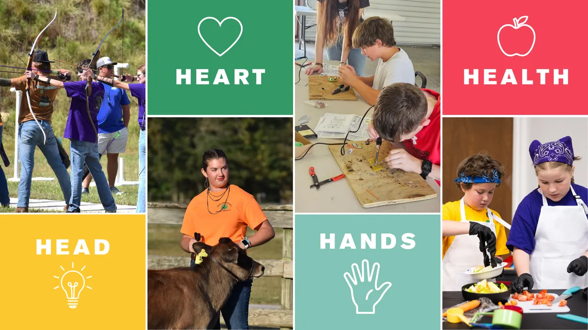Collage features 4-H youth practicing archery, showing dairy cows, cooking, and electric circuits.