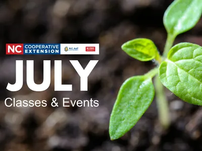 Image features a seedling and text stating "July 2026 classes & events"