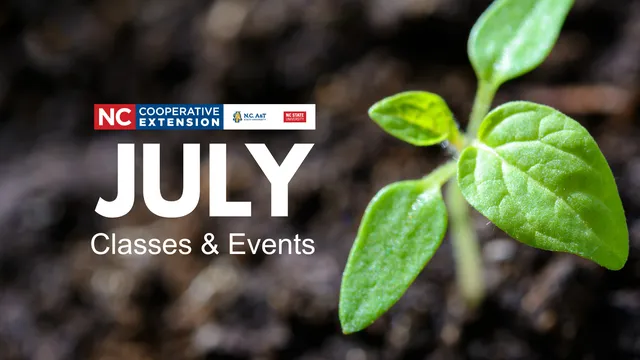 Image features a seedling and text stating "July 2026 classes & events"