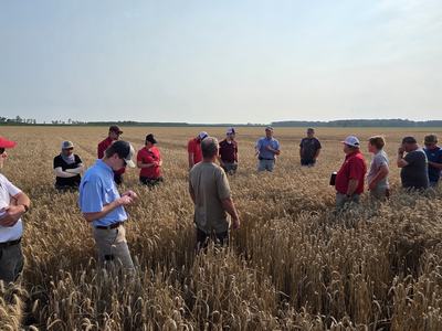NC State Extension experts share agricultural production knowledge with farmers gathered in a wheat field.