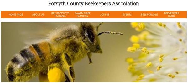 Screenshot of Forsyth County Beekeepers Association Website