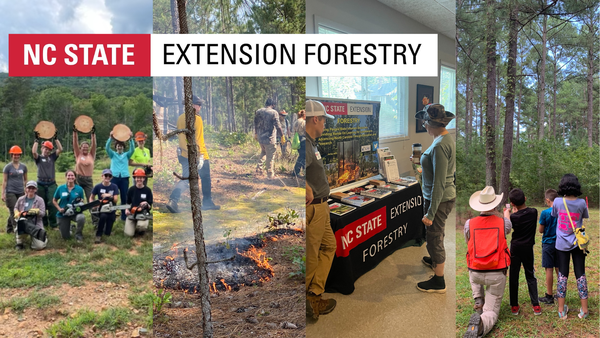 A collage of four photos showcasing NC State Extension Forestry activities, including a group training in the woods, a controlled burn, an educational booth at an event, and a youth forest education session.
