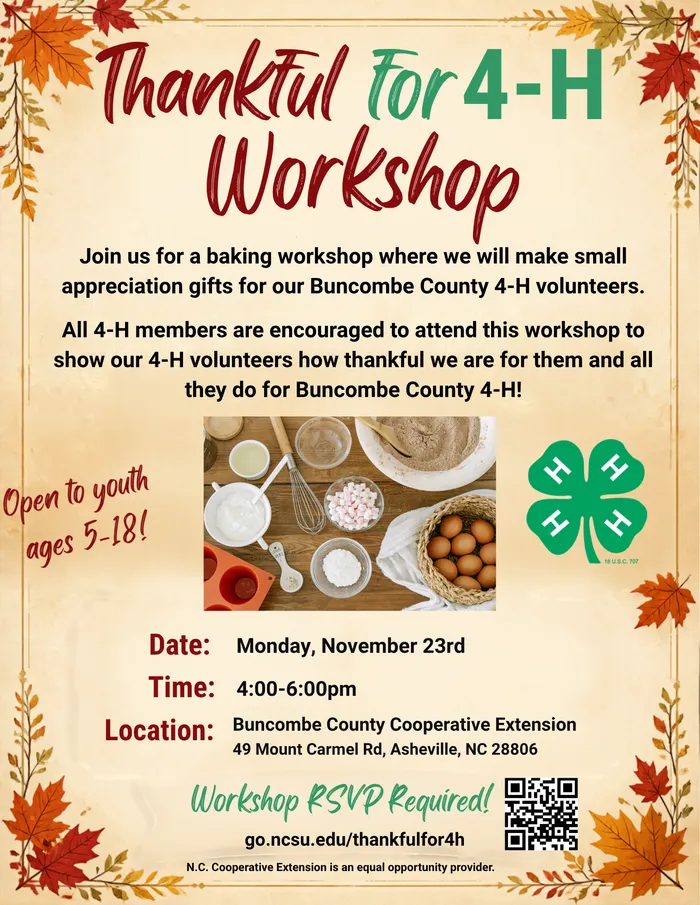 workshop flyer