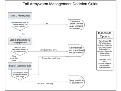 Fall Armyworm Management Decision Guide