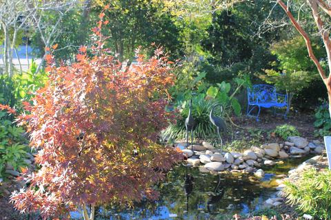 Fall Color on Display (Photo Courtesy of Taylor McDaniel)