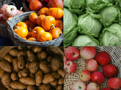 four part picture with top left various squashes top right cabagges bottom left potatoes and bottom right apples in a basket