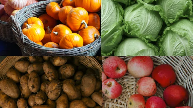 four part picture with top left various squashes top right cabagges bottom left potatoes and bottom right apples in a basket