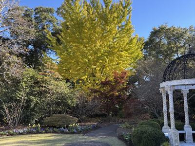 Fall is just around the corner and with it, the best time to plant new trees and shrubs. Photo courtesy of Amy Mead