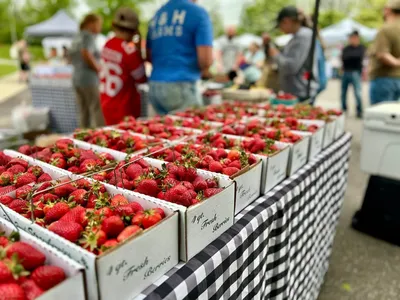 Strawberries at the Farmer's Market