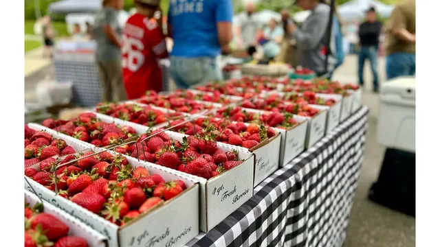 Strawberries at the Farmer's Market