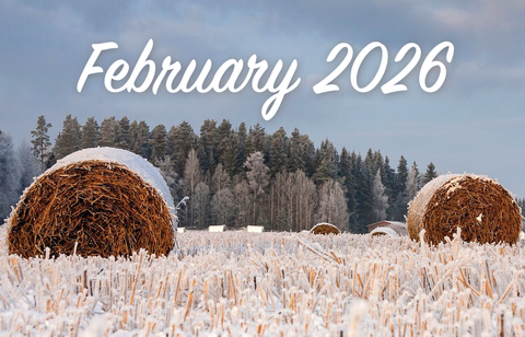 February 2026 on round hay bale in a field
