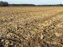 Field that was recently tilled using a moldboard plow