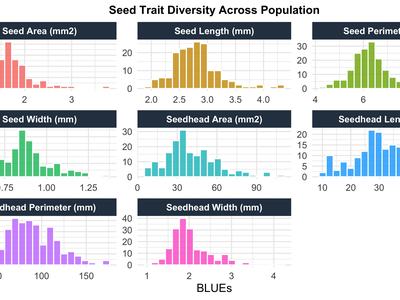 Histogram grid displaying seed trait diversity across a population. Charts show frequency distributions of various traits like area and length in distinct colors.