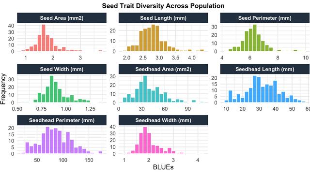 Histogram grid displaying seed trait diversity across a population. Charts show frequency distributions of various traits like area and length in distinct colors.