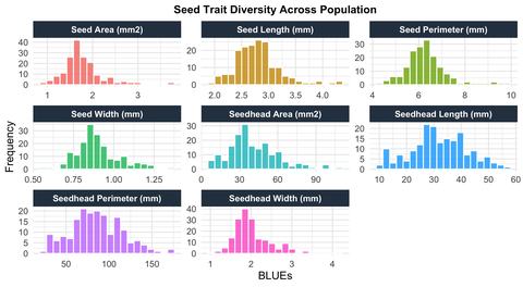 Histogram grid displaying seed trait diversity across a population. Charts show frequency distributions of various traits like area and length in distinct colors.