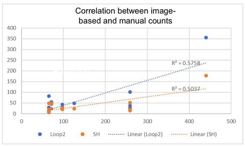 Correlation between image-based estimates and actual manual counts for
artificial intelligence-based models developed to predict seedhead counts.