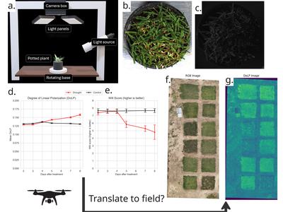 Image showing a potted plant under neath lights and a camera, the resulting image from this set-up, data gathered and charted on graphs, and then a translation to the field.