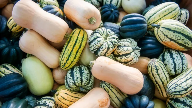 Various pumpkins and gourds