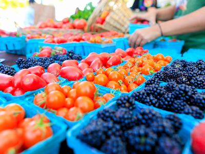 A colorful display of blackberries and tomatoes at a local market.