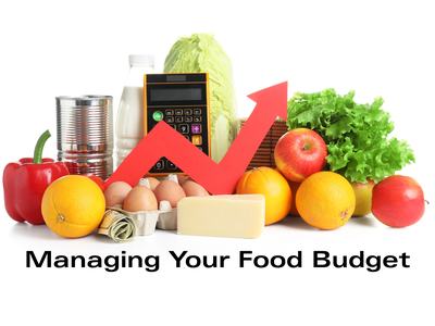 Vegetables and food with calculator and money.
