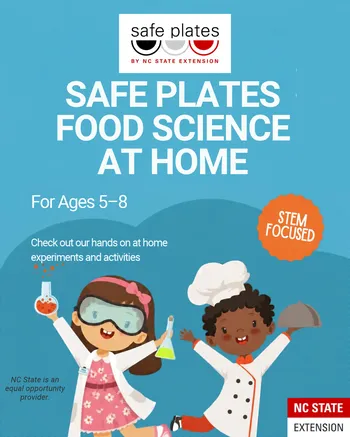 Food Science at Home Experiments and Activities for Ages 5-8. STEM Focused