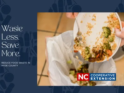 Food scraped into trash