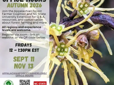 Flyer for Forest Farming Office Hours