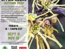 Flyer for Forest Farming Office Hours
