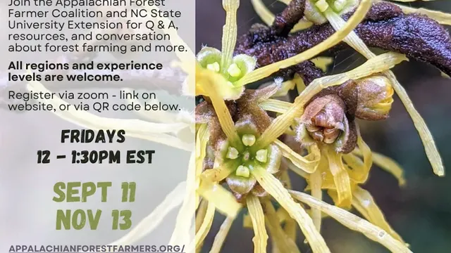 Flyer for Forest Farming Office Hours