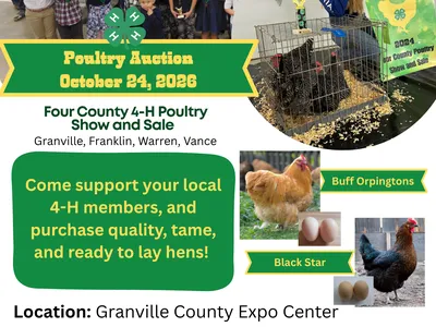 Group of 4-H youth champion chicnes in a cage and 2 example varieties of chickens