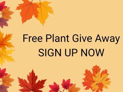 Flyer promoting a free succulent give away.