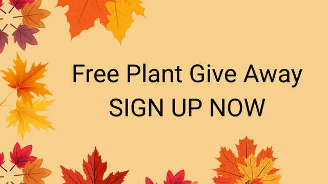 Flyer promoting a free succulent give away.