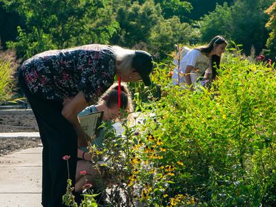 Pollinator Census Participants