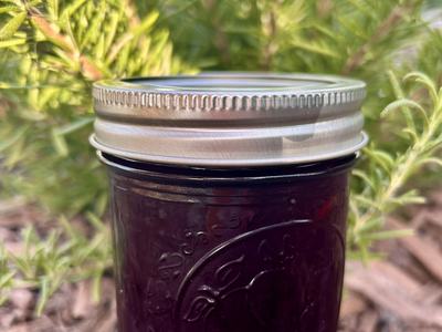 Blueberry Jam outside