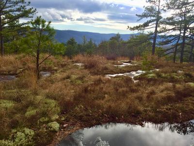 a granitic outcrop on a mountain top