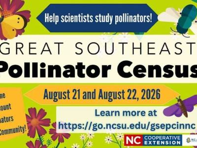 Pollinator theme flyer that says Great Southeast Pollinator Census August 21 & 22, 2026