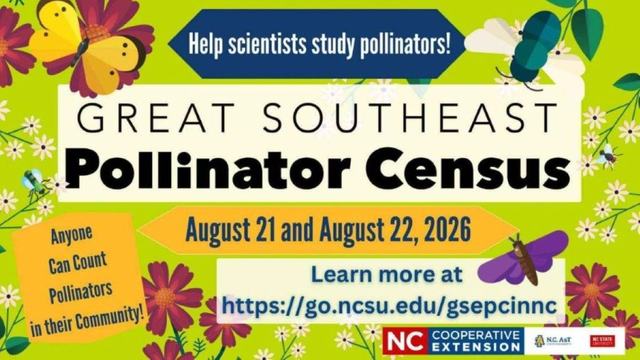Pollinator theme flyer that says Great Southeast Pollinator Census August 21 & 22, 2026